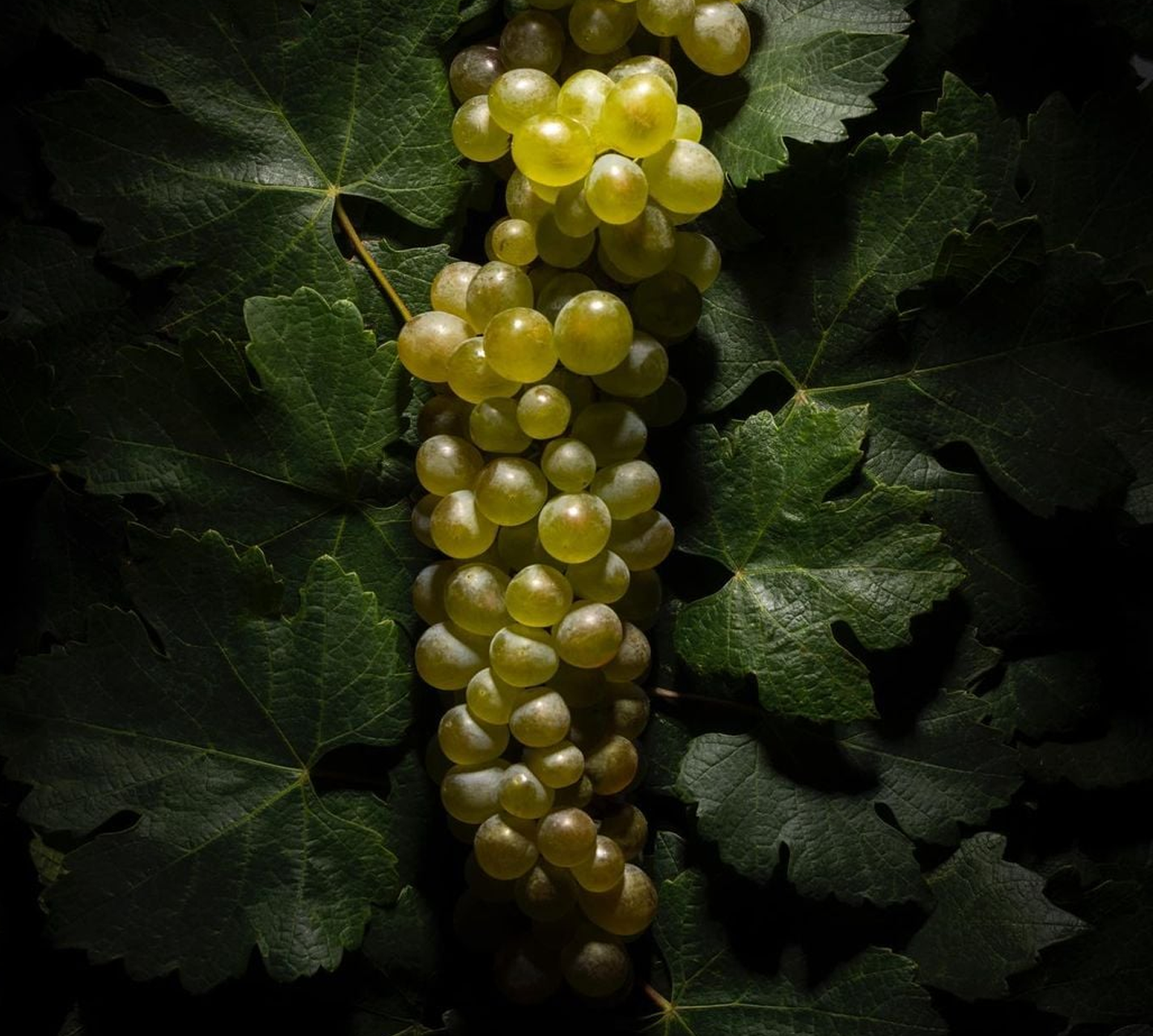 ჩვენი ხასიათი და ადამიანები